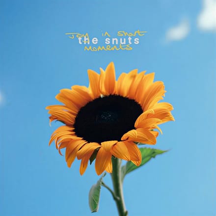 The Snuts - Joy In Short Moments (LP) (Coloured Vinyl) (Indies Only)