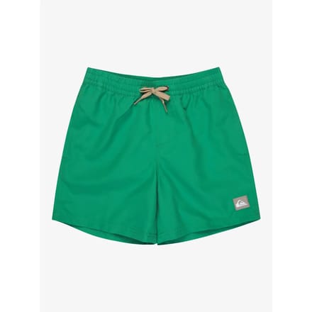 Boardshorts voor kinderen Quiksilver Everyday Volley 14"