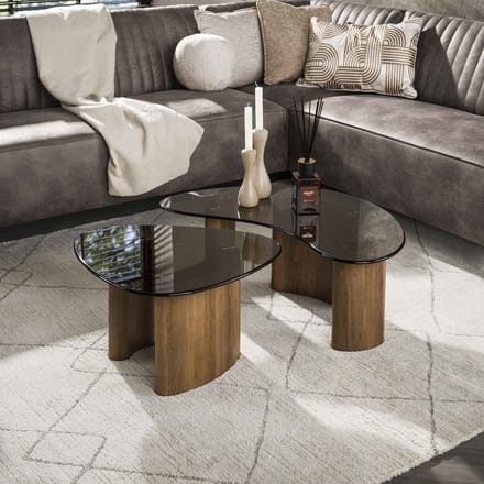 Giga Meubel Salontafel Tinto - Organisch Brons Glas - Set van 2