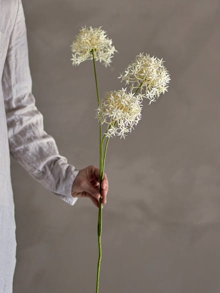 Bloomingville Allium