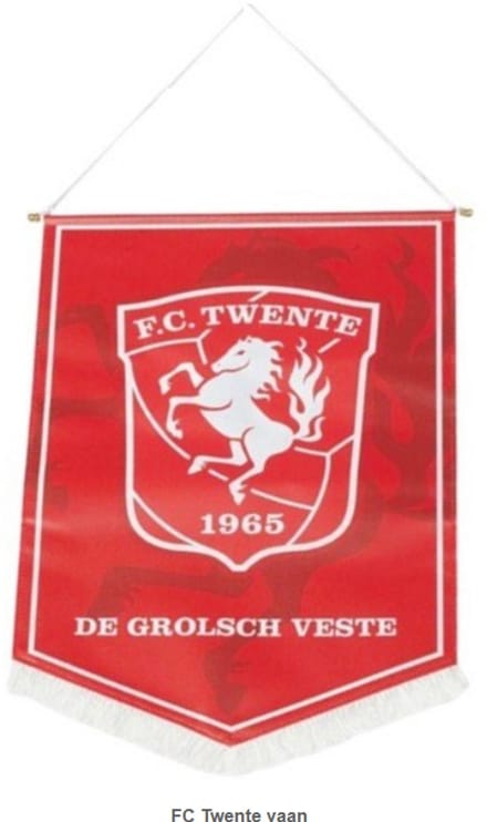 Grote FC Twente vaan - 38 x 28 cm