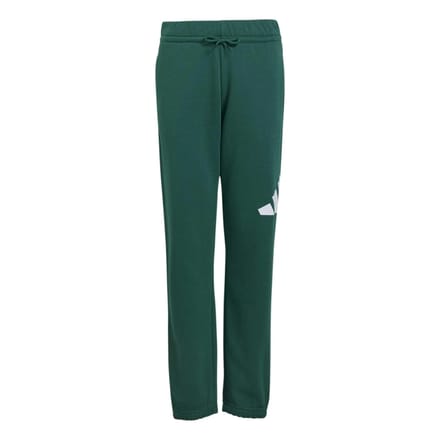 Adidas Essentials Big Logo French Terry Joggers Groen 9-10 Years Kinderen