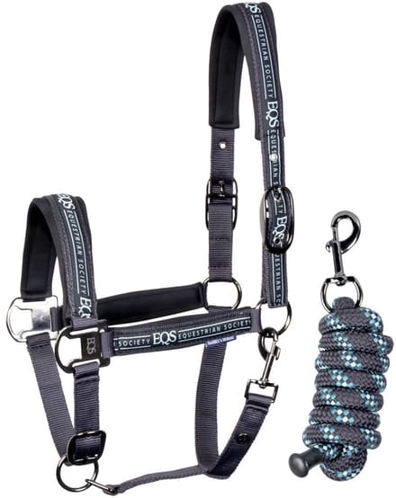 Harry's Horse - Halsterset Equestrian Society - Black Sand - Maat Pony