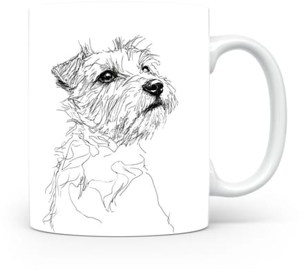Beker Norfolk Terrier