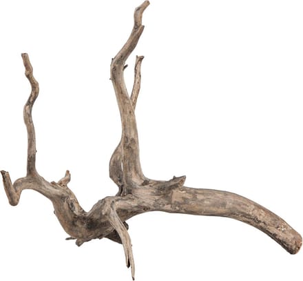 Sera Scaper Root XS - 18-20CM