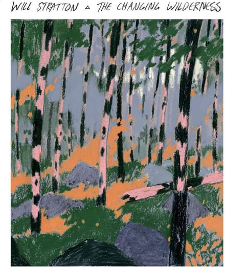 Will Stratton - The Changing Wilderness (CD)