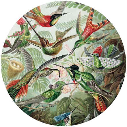 Plexiglasschilderij Hummingbirds - Ø 70 - Acrylglas - REINDERS