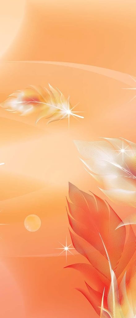 Fotobehang Orange Pink Abstract Feathers | DEUR - 211cm x 90cm | 130g/m2 Vlies