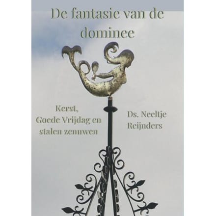 De Fantasie Van De Dominee - Neeltje Reijnders