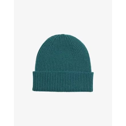 Pet Colorful Standard merino wool
