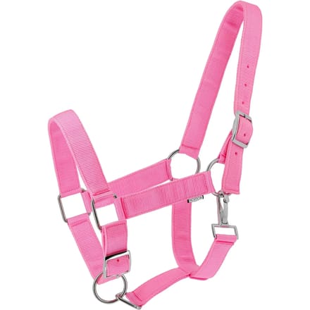 Halster voor paarden Norton Extra