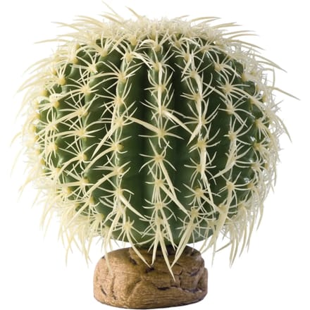 Decoratiepakket zee-egel cactus Exo Terra
