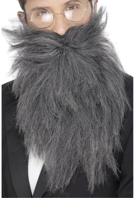 Verkleed baard en snor - grijs - lang model - professor/geleerde/wijze man