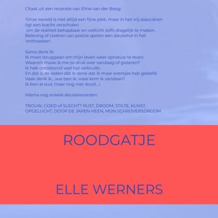 Rote Signale - ELLE WERNERS
