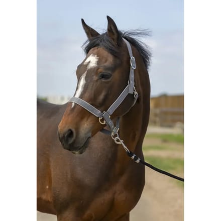 Nylon paardenhalster Equithème light