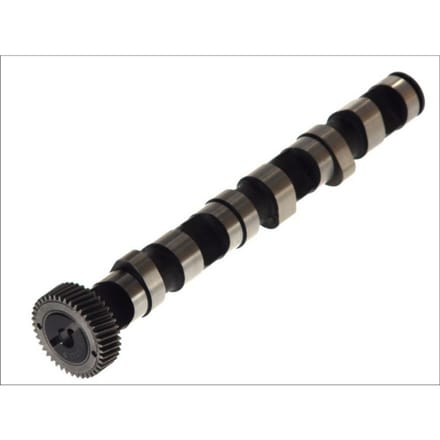 Nokkenas  AE CAM702
