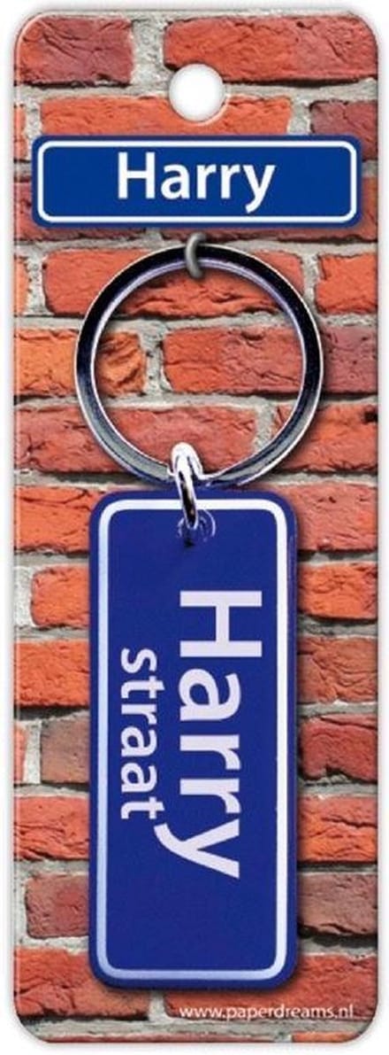 Paper Dreams Sleutelhanger Straatnaam Harry 9 Cm Staal Blauw