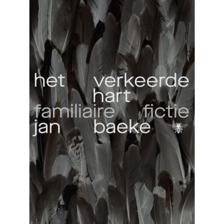 Het Verkeerde Hart - Jan Baeke