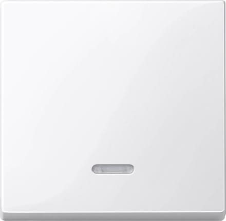 Merten 436019 Controleschakelaar Afdekking System M, 1-M, M-Smart, M-Plan, M-Creativ Polair-wit (glanzend) 1 stuk(s)