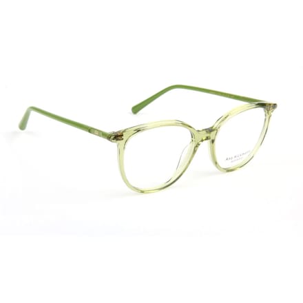Ana Hickmann Optical Frame AH6617 T01 51