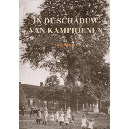 In De Schaduw Van Kampioenen - Arie Pieters