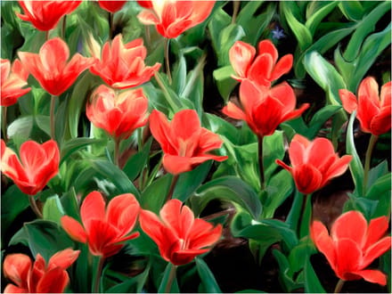 Fotobehang - Painted flowers.