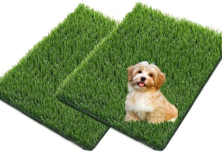 Omgoods - Kunstgras voor Huisdieren en Tuin, Set van 2 Matten