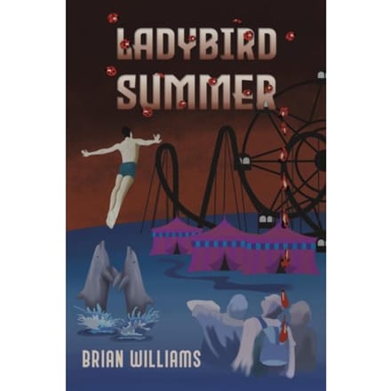 Ladybird Summer - Brian Williams