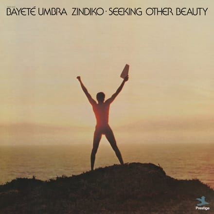 Seeking Other Beauty (All-Analog)
