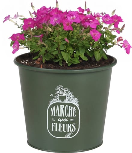 Sunnydays /plantenpot/bloempot - zink - legergroen - D19 x H16 cm