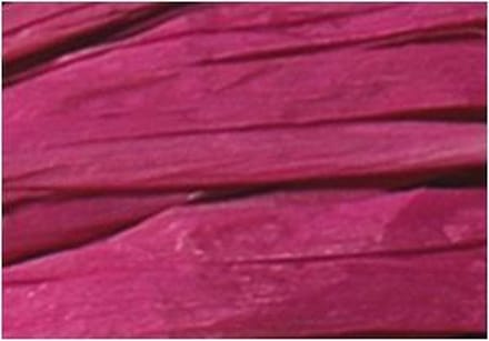 Raffia Folia 50gr. roze -
