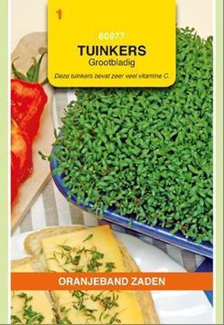 Oranjebandzaden -  Tuinkers Grootbladig