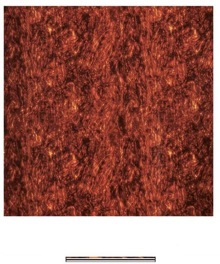 Boston PG-433-T pickguard material, 4 ply, 30x29cm, tortoise