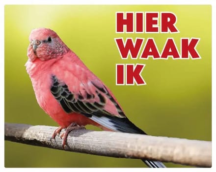 Boerkes Parkiet Waakbord - Hier Waak Ik