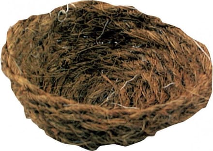 Kokos nestje