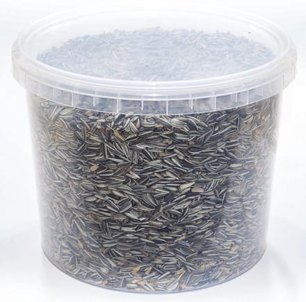Zonnebloempitten - Vogelvoer Mengsel - Vogels Voeren - Energie Rijk - 265 gram
