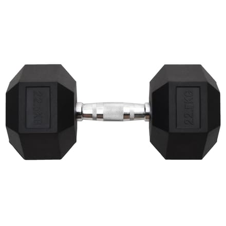 vidaXL - Halters - 22,5 - kg - gietijzer