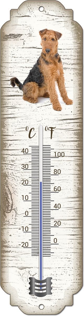 Thermometer: Airedale Terrieér | Hondenras | Temperatuur binnen en buiten | -25 tot +45C