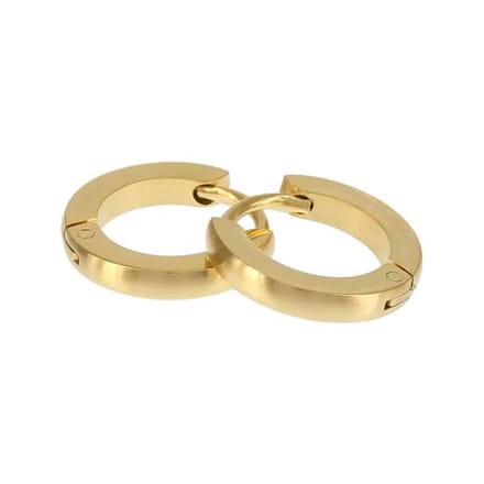 Kalli Oorringen Edelstaal Mat Goud 1845 (12mm)