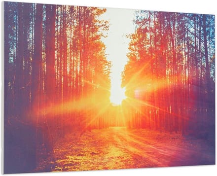 Infrarood Paneel - Design Verwarming - Ruimte Verwarmen - Open Window Detectie - 90 x 60 cm - Wit