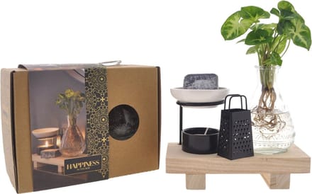 Intenz Wellness Box | 25cm | Syngonium Pixie | Cadeau