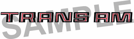 Spatbord stickers Pontiac Transam 1978-1981 replika zilver look