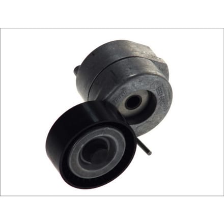 Schaeffler Ina Riemspanner, Poly V-riem INA 534 0053 10