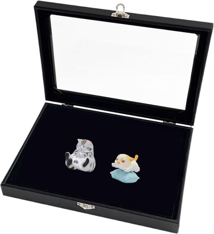 Broche Houder - Sieraden Vitrine - Verzamelingen Tonen - Transparant Design - 20 x 15 cm - Transparant