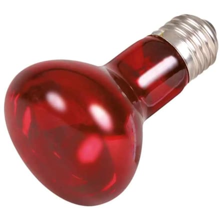 Infrarood warmtespots voor terrariums Trixie