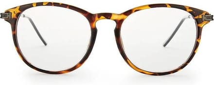 Nordic Vision leesbril Nassjo +2.50