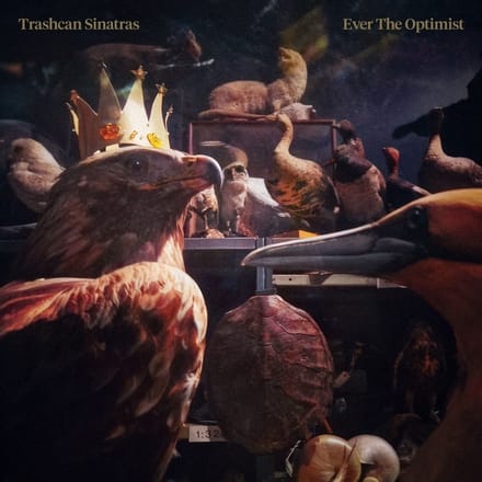 Trashcan Sinatras - Ever The Optimist (LP)