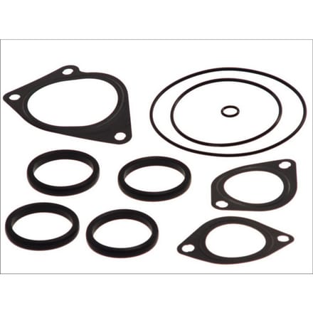 Pakkingset, waterpomp DT Spare Parts 2.91534