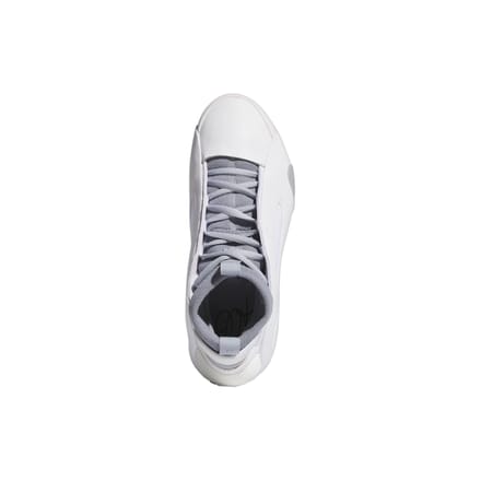 Basketbalschoenen adidas Baskets harden volume 8 léger
