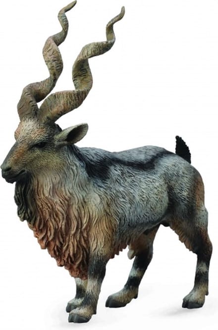 COLLECTA Figurine - Schroefhoorngeit - (L)